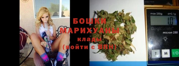 СК Аркадак