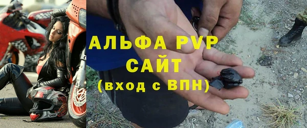 СК Аркадак