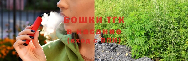 СК Аркадак
