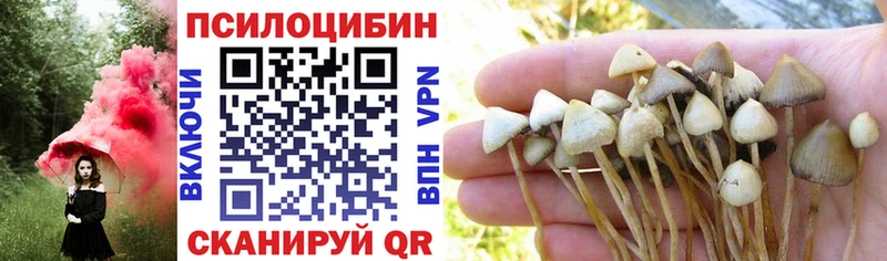 shop клад  Моздок  Галлюциногенные грибы Magic Shrooms 